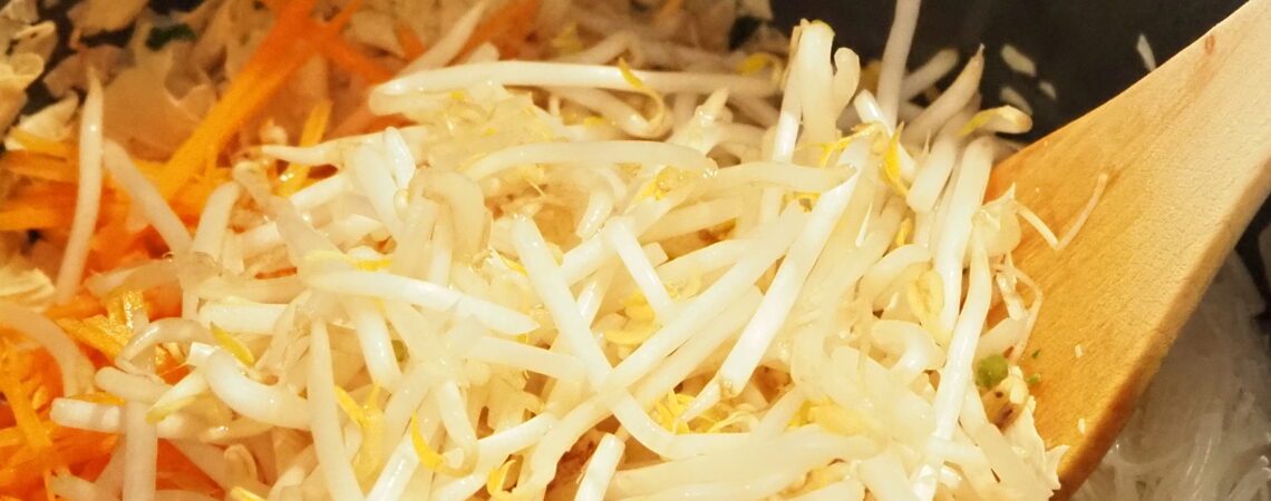 676 Vegisto’s vegane Frühlingsrollen Sojasprossen Karotten