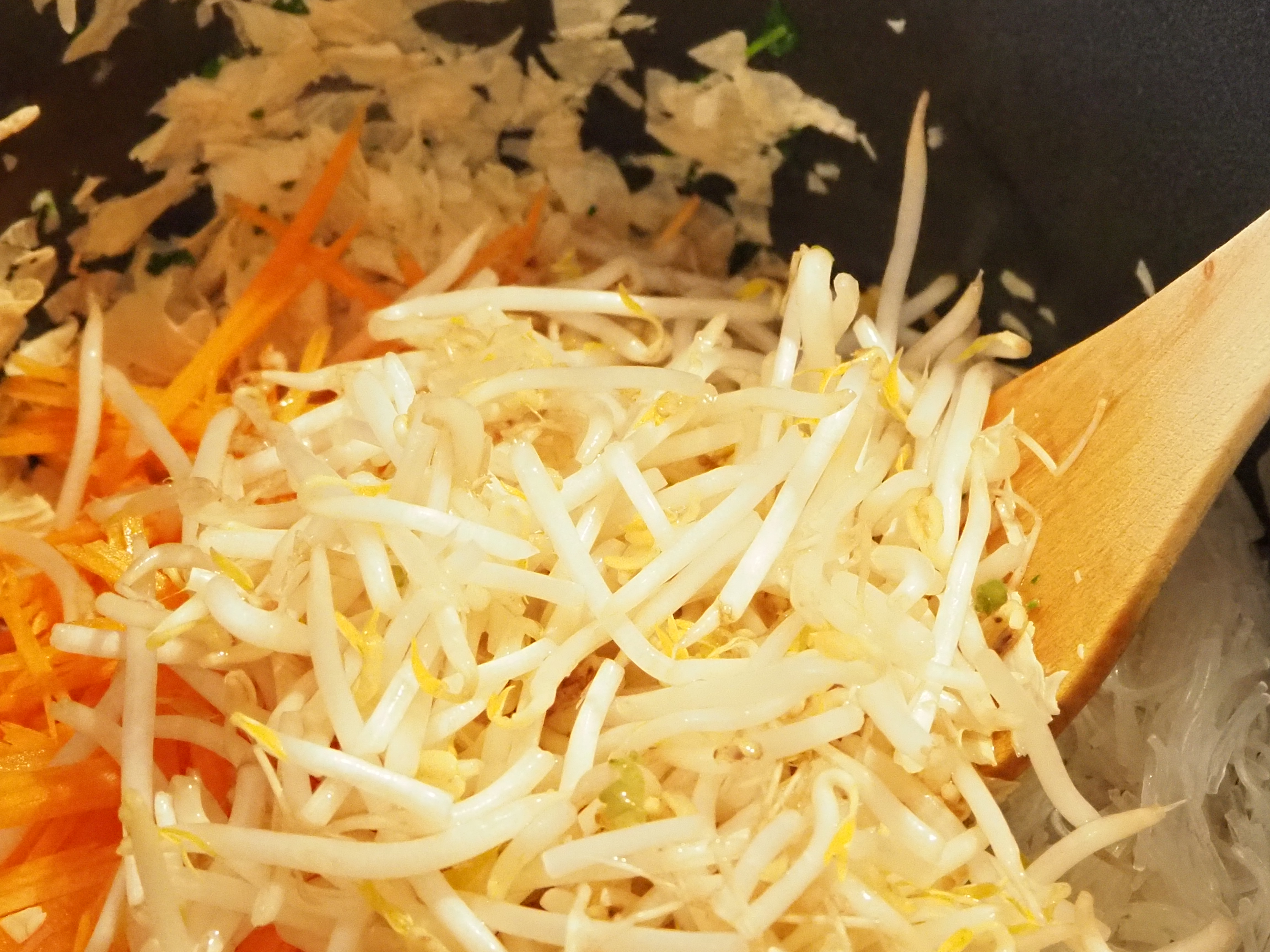 Vegane Frühlingsrollen mit Gemüse – Vegisto – vegan &amp; lecker
