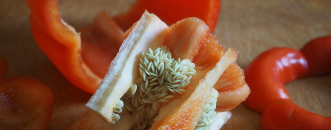 735 Vegisto Peperonata Paprika 3